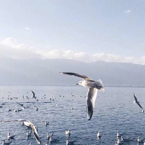 沟厕全景偷拍美女撒尿
