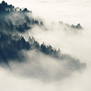 沟厕全景偷拍美女撒尿
